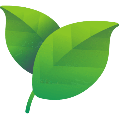 El rincón de la salud